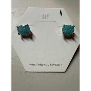 BP OG earrings Painted Desert Skies